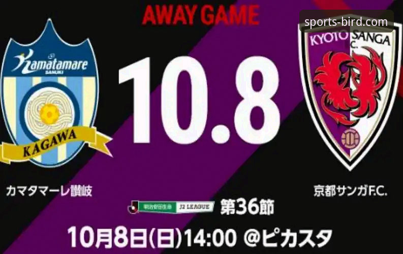 小鸟体育赛事回放 小鸟体育官网赛事回放功能深度使用指南:从观看到分析的进阶攻略