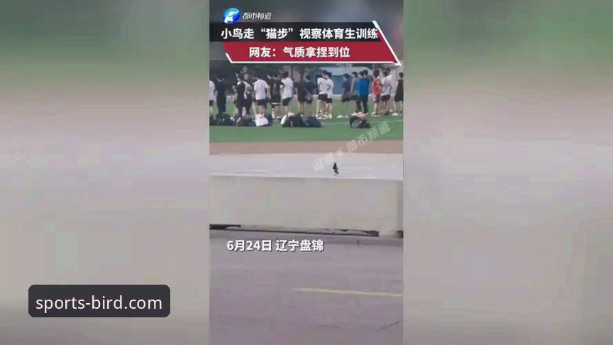 从北京爆冷负福建，看小鸟体育专业分析工具如何解读比赛关键转折