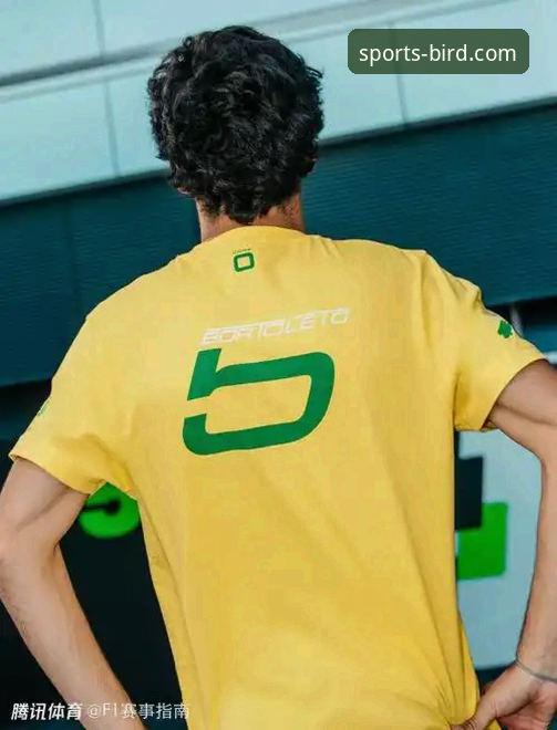 小鸟体育官网赛事回放功能使用与评测完整指南