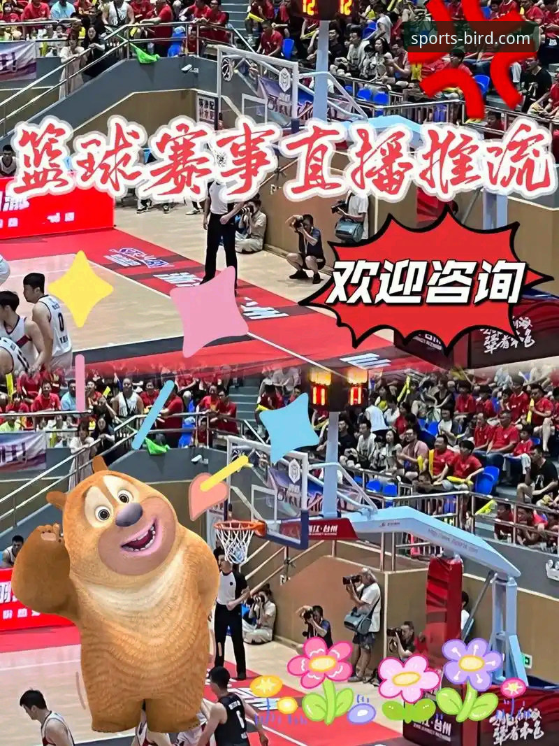 小鸟体育赛事直播 小鸟体育官网深度评测:一个资深用户的真实体验与赛事直播平台剖析