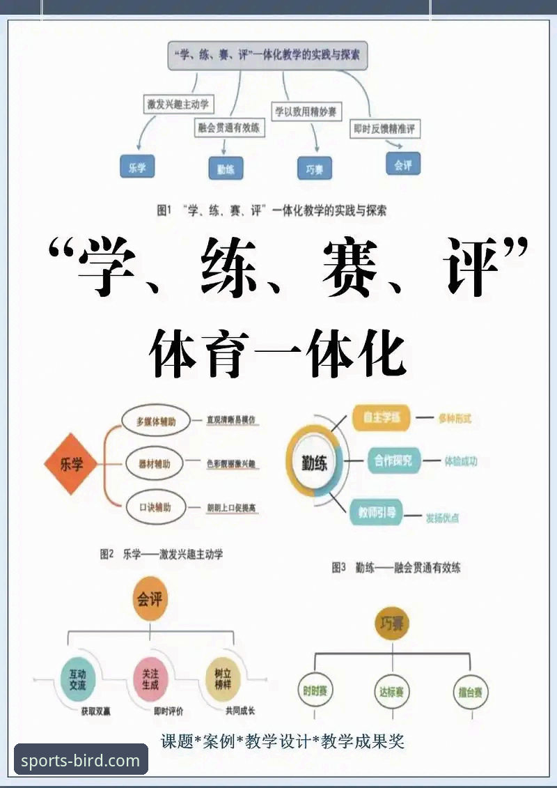 小鸟体育官网深度评测：赛场风云掌握，从数据到体验的全方位解析