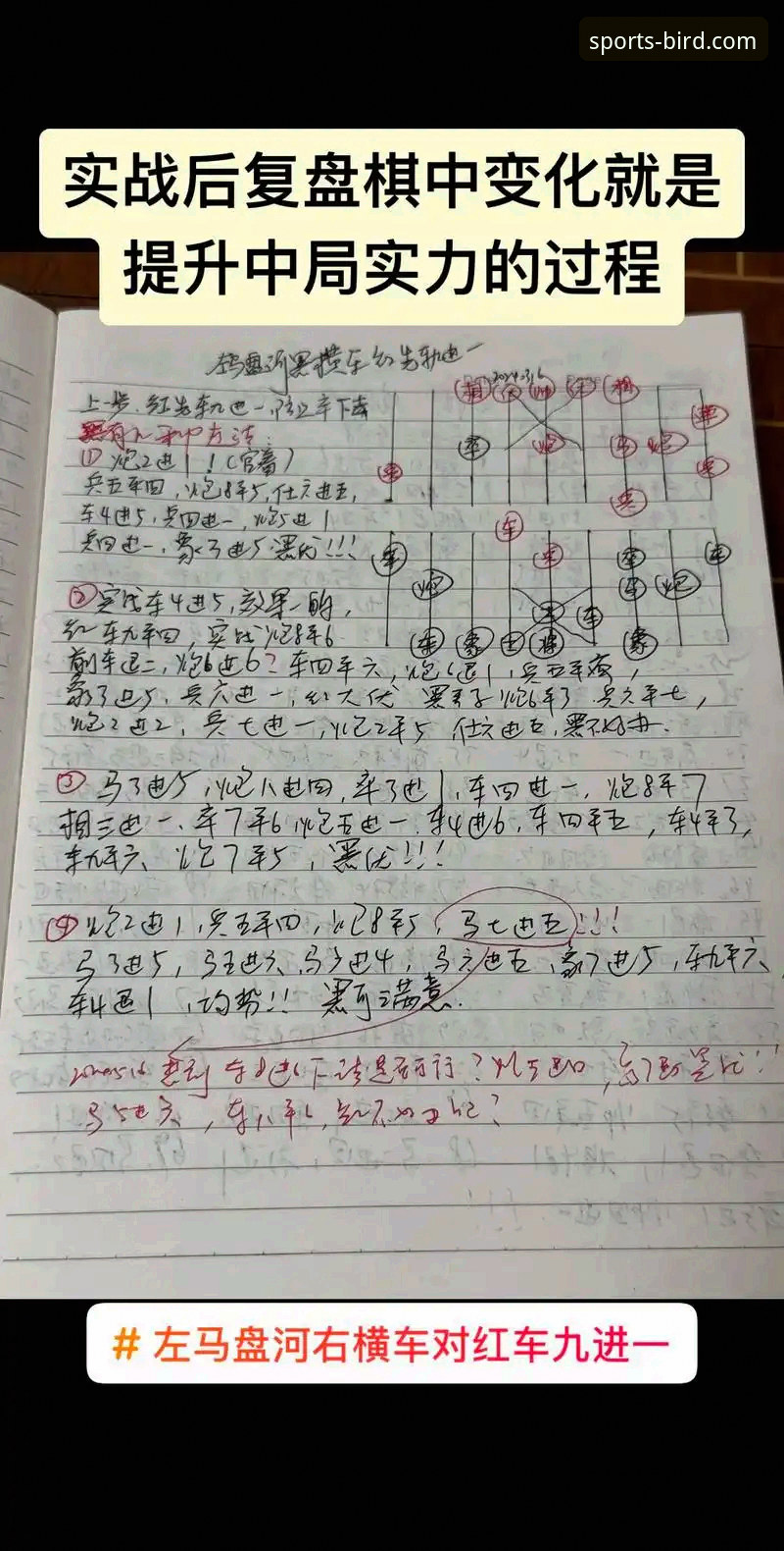 小鸟体育iOS版下载 实战复盘:如何利用专业工具深度拆解骑士魔术的攻防博弈