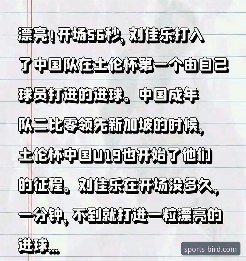 小鸟体育好用吗教程 土伦杯U19国足闪电破门,小鸟体育如何解读这场关键胜利?
